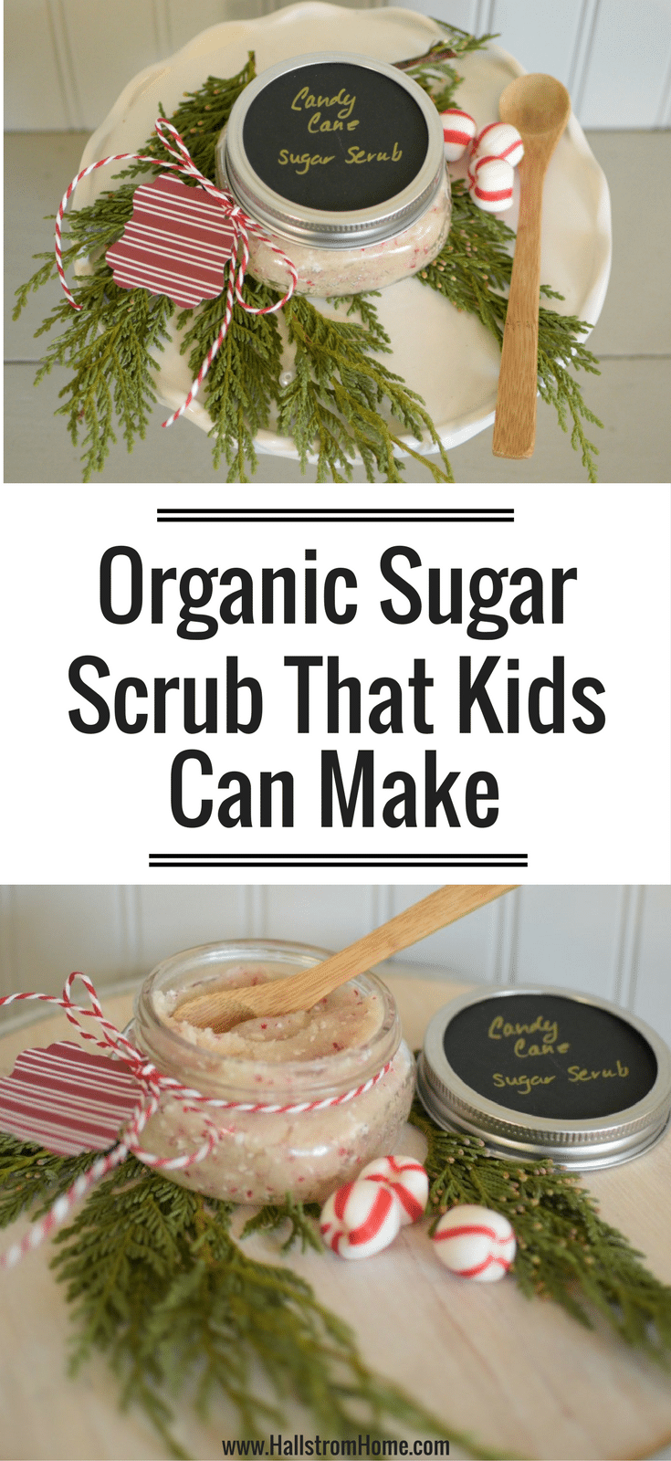 Organic Sugar Scrub That Kids Can Make Hallstrom Home