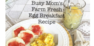 Busy Mom's Farm Fresh Egg Breakfast Recipe Hallstrom Home