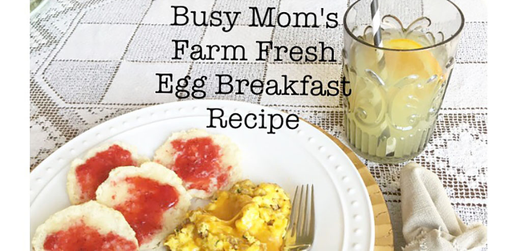 Busy Mom’s Farm Fresh Egg Breakfast Recipe