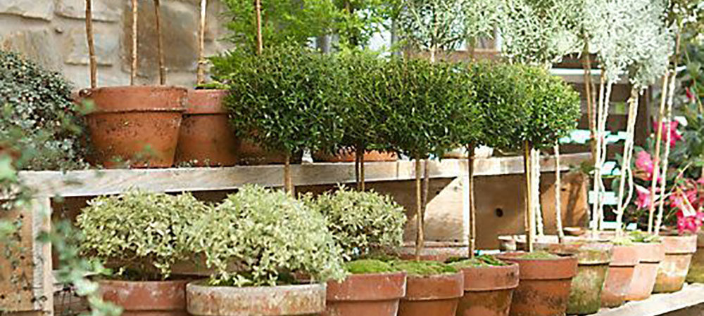 5 Garden Spaces We Love - Hallstrom Home