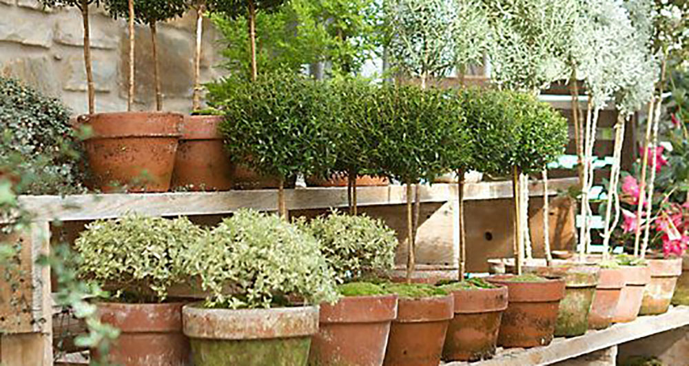 5 Garden Spaces We Love - Hallstrom Home