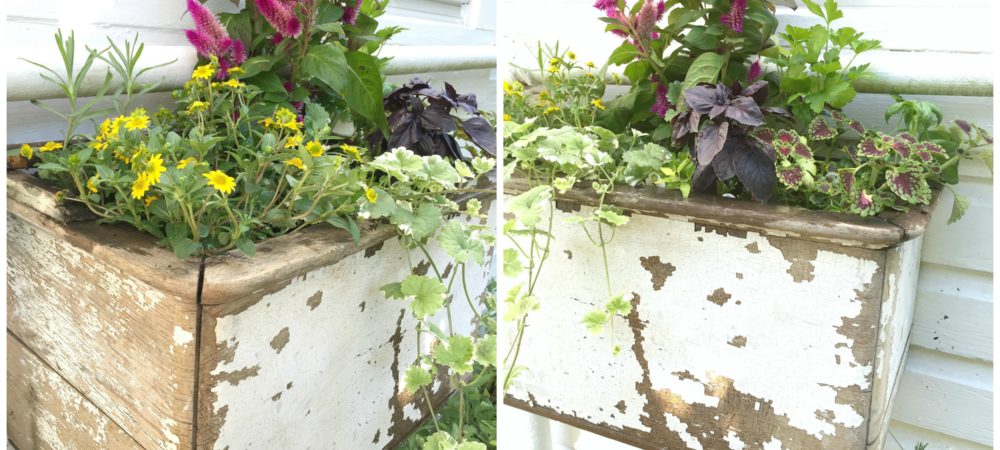 Hallstrom Home Farmhouse Planter Box for Herbs