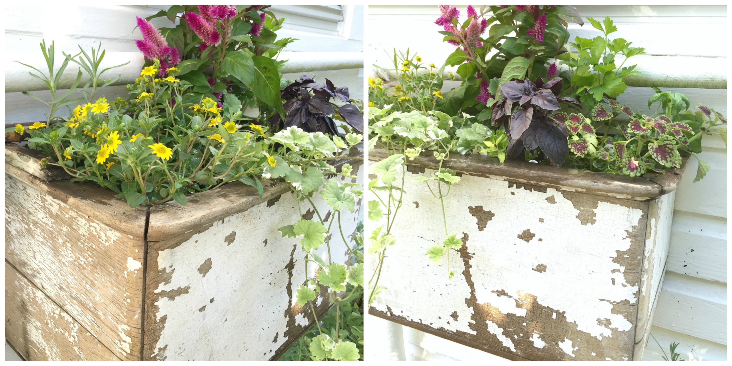 Farmhouse Planter Box for Herbs