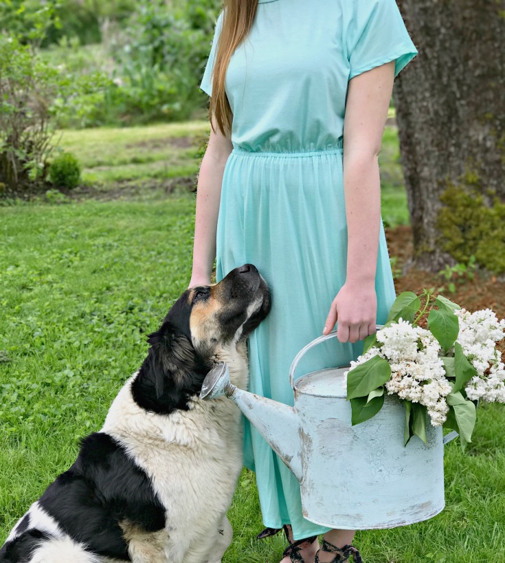 Modest Knit Summer Dress with Sleeves