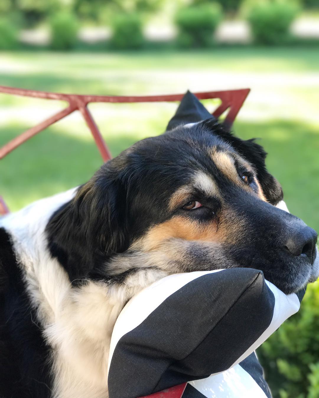 DIY Waterproofing Pillows for Outdoors