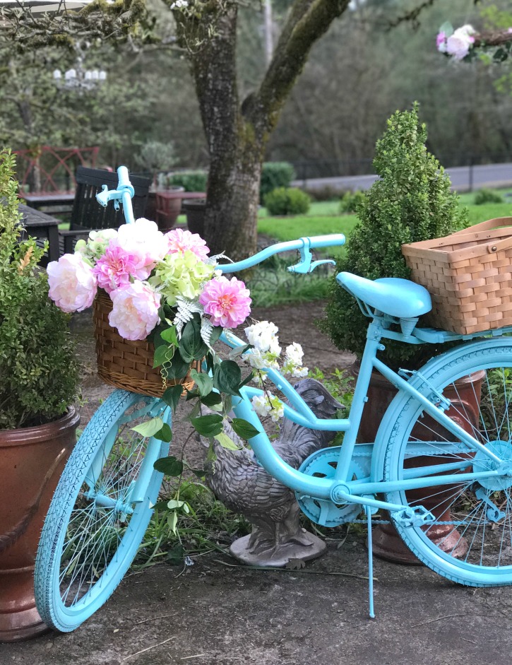 The Girl Who Painted Her Bike Blue