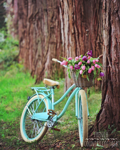 The Girl Who Painted Her Bike Blue