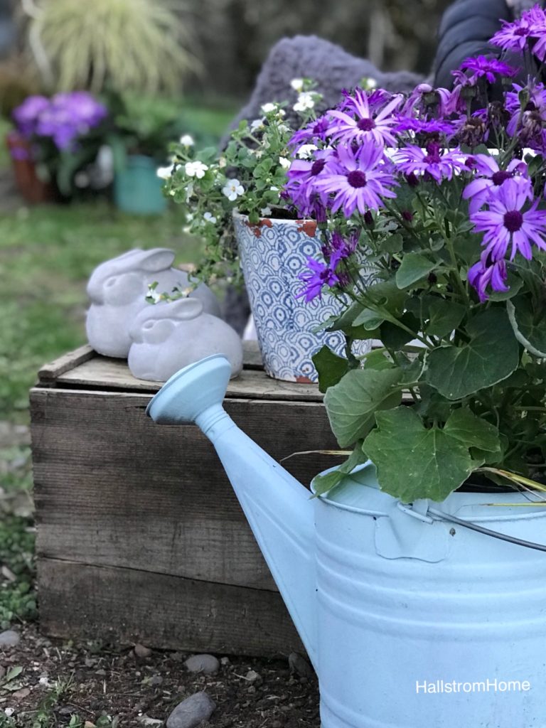 blue watering can with purple flowers and cement bunnies