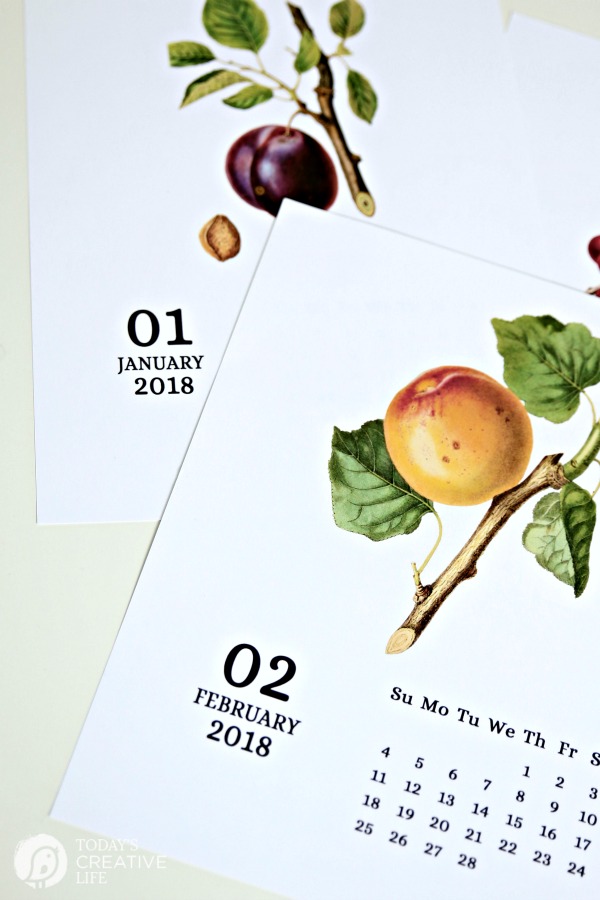 january and february calendar with vintage fruit printed on