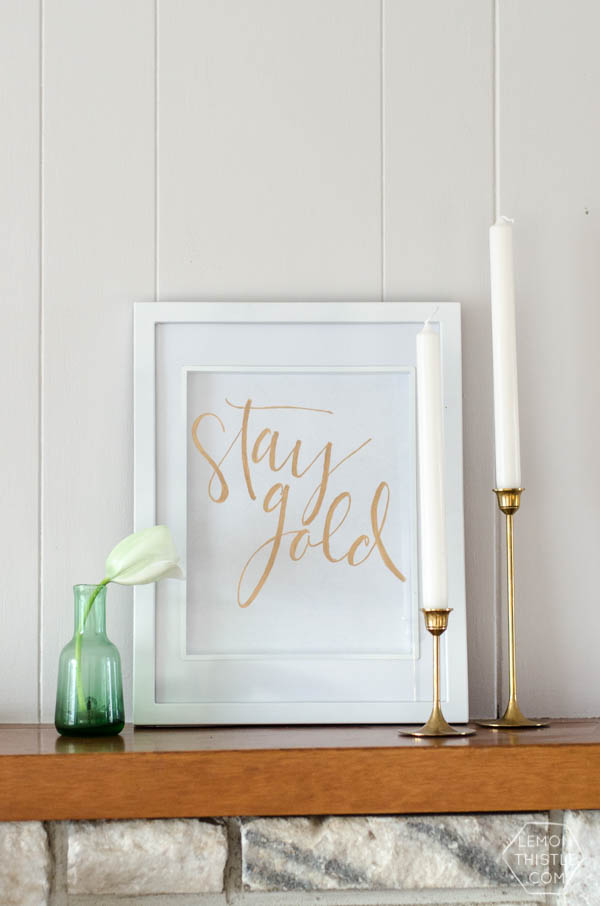 stay gold in scroll framed in white frame 