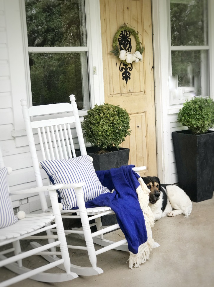 Design the Best Beautiful and Stunning Boxwood Garden Now front door with dog and tall boxwoods and white rocking chair