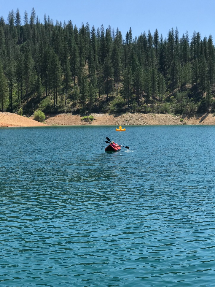 lake shasta with kayak and duck