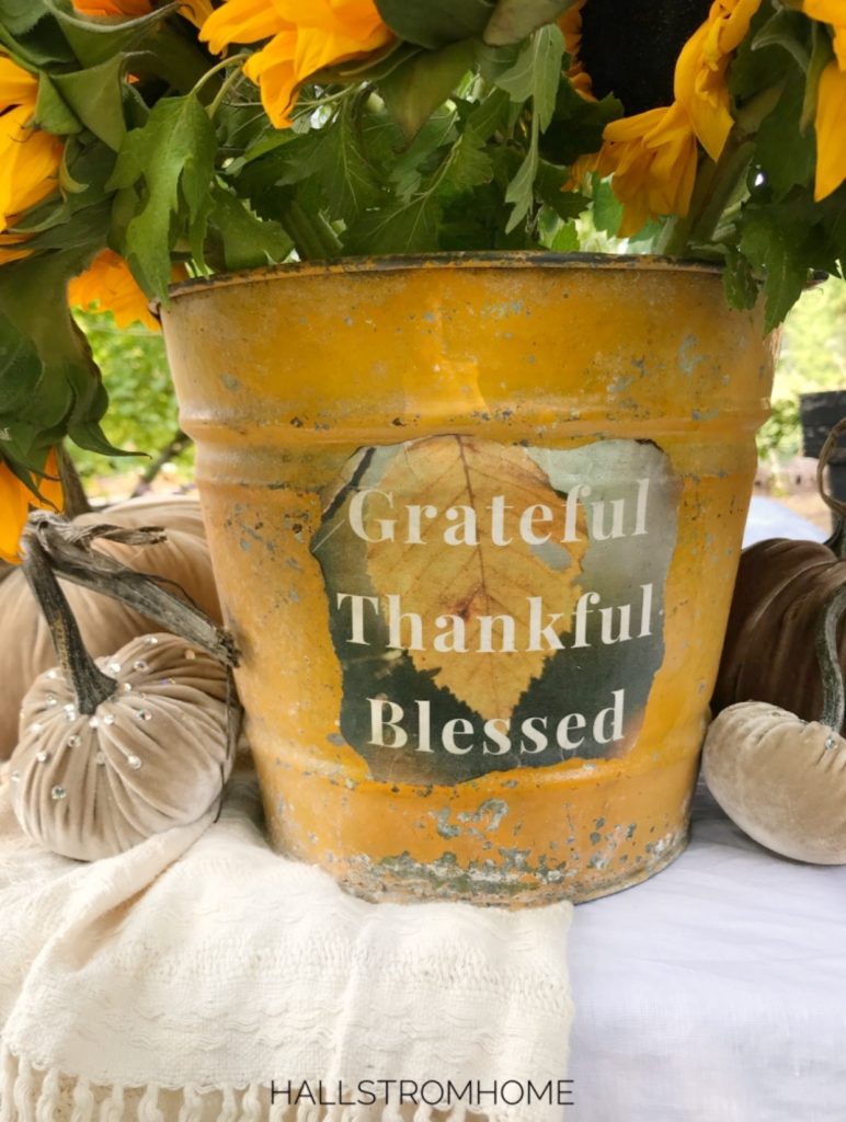 yellow bucket with grateful thankful blessed printable on it with sunflowers in it and velvet pumpkins on the side