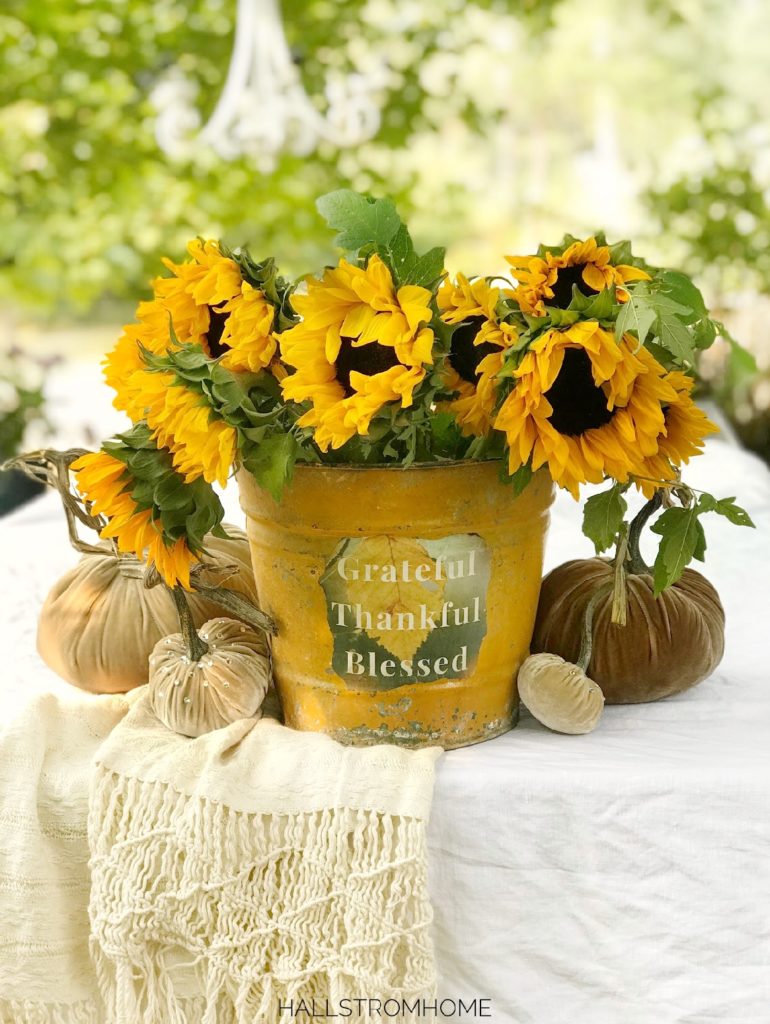 yellow bucket with bouquet of sunflowers and 4 velvet pumpkins against bucket, with tassel blanket