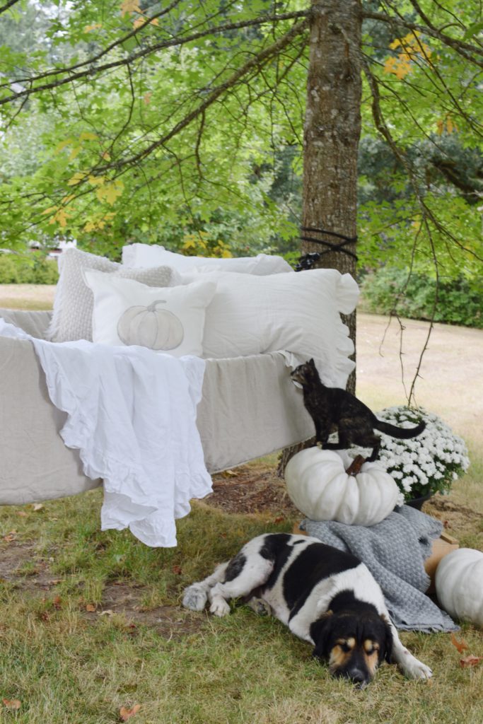 hammock with linens and black cat climbing on