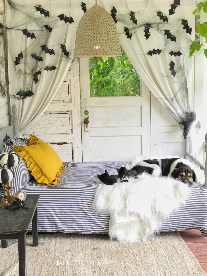 stipred bedding with dog and 2 cats on bed, on fuzzy white blanket. with chandelier and paper bats hanging on wall behind