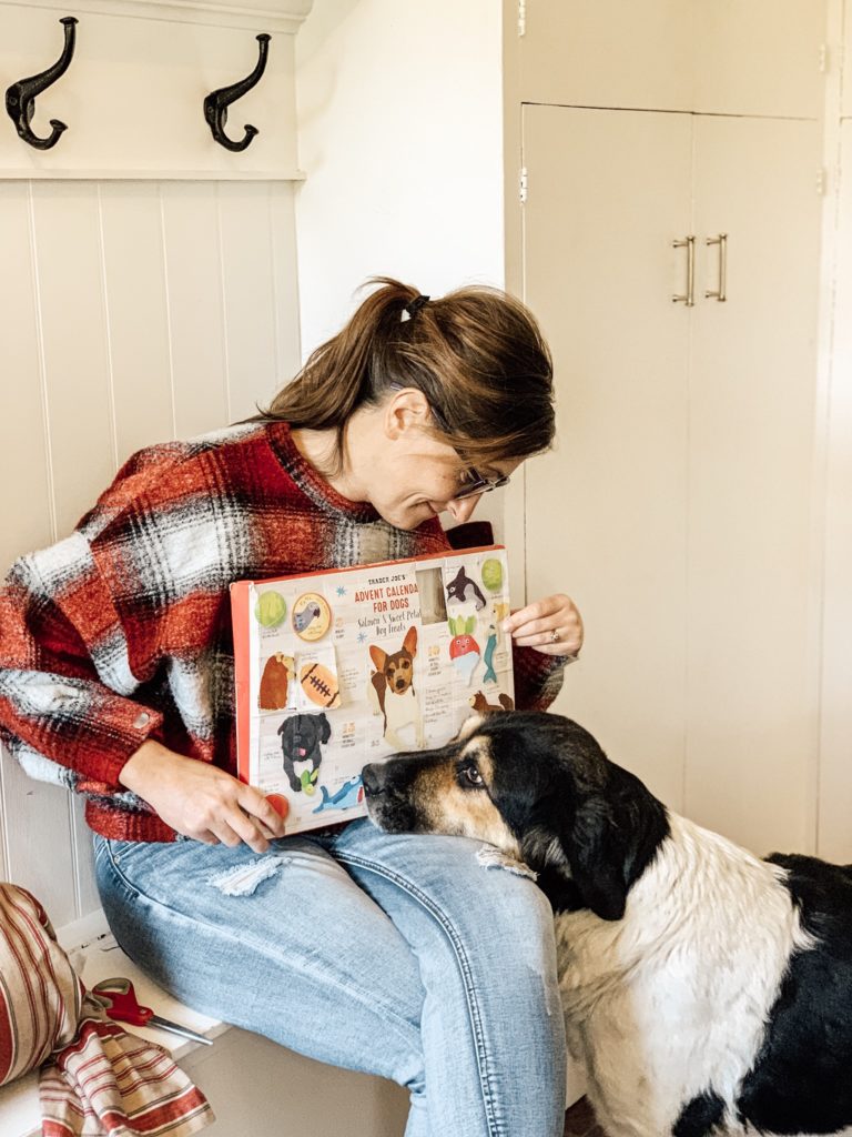 Daisy's Favorite Doggy Advent Calendar for Christmas/Review #dogadventcalendar#traderjoesadventcalendar#adventcalendar#dogtreatadventcalendar#christmasdecor#dogchristmas#christmasfordogs#advent#dogadventcalendartraderjoes#christmastimedecor#farmhousechristmas#dogtreatadventcalendarreview#adventreview#hallstromhome