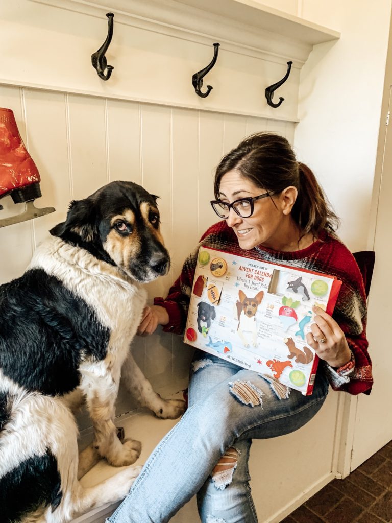 Daisy's Favorite Doggy Advent Calendar for Christmas/Review #dogadventcalendar#traderjoesadventcalendar#adventcalendar#dogtreatadventcalendar#christmasdecor#dogchristmas#christmasfordogs#advent#dogadventcalendartraderjoes#christmastimedecor#farmhousechristmas#dogtreatadventcalendarreview#adventreview#hallstromhome