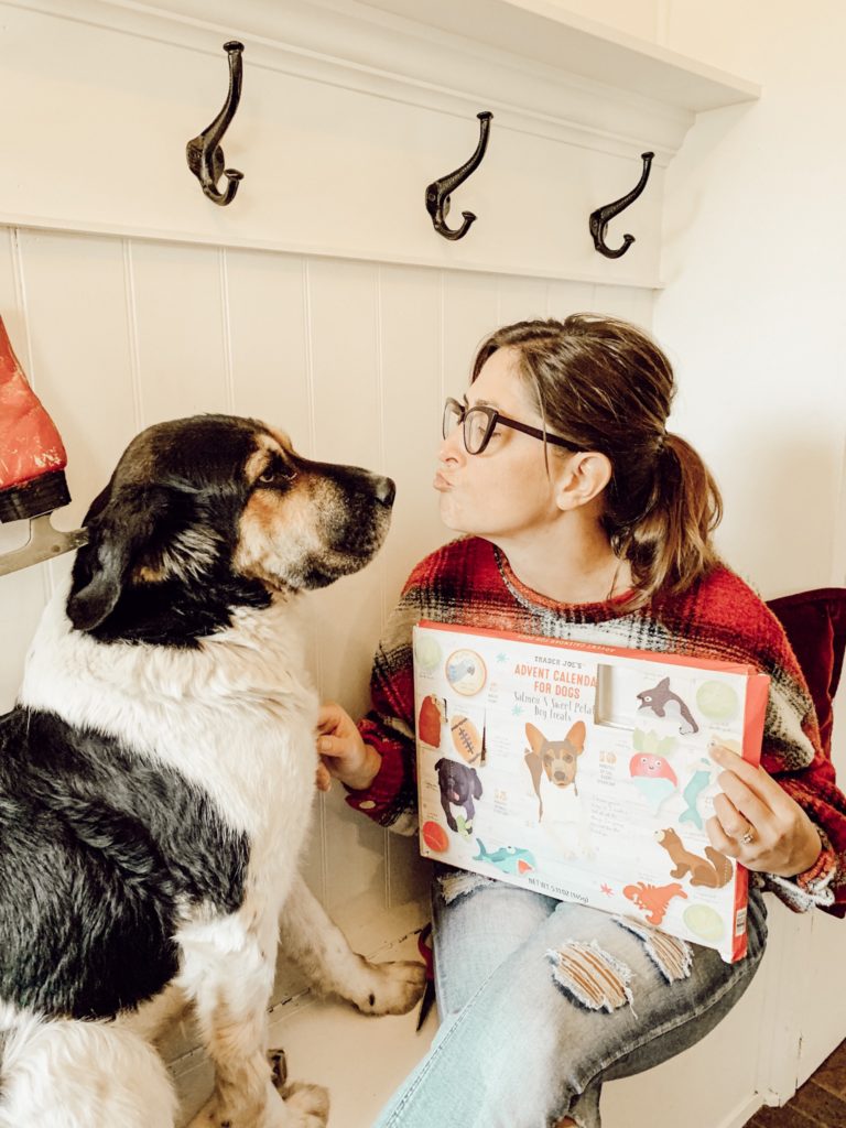 Daisy's Favorite Doggy Advent Calendar for Christmas/Review #dogadventcalendar#traderjoesadventcalendar#adventcalendar#dogtreatadventcalendar#christmasdecor#dogchristmas#christmasfordogs#advent#dogadventcalendartraderjoes#christmastimedecor#farmhousechristmas#dogtreatadventcalendarreview#adventreview#hallstromhome