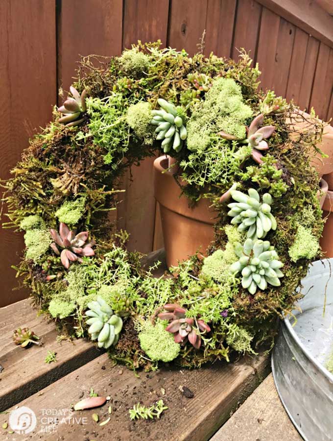 DIY Faux Succulent Wreath|succulent wreath|how to make a succulent wreath|how to make a faux succulent wreath|spring wreath|spring diy|mothers day wreath|wreath making|candle wreath|wall hanging wreath|target dollar spot craft|dollar store crafts|spring tablescape|farmhouse table|table setting|Hallstrom Home