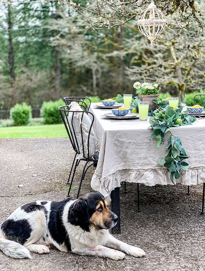 Spring Outdoor Table Ideas|Casual outdoor table|Spring tablescape|outdoor party|party planning|farmhouse|farmhouse dining|patio dining|Spring outdoor decorations|summer decorations|Outdoor table centerpieces|outdoor table decorating ideas|dinner party|shabby chic|farmhouse style|how to style|how to style outdoor table|hallstrom home