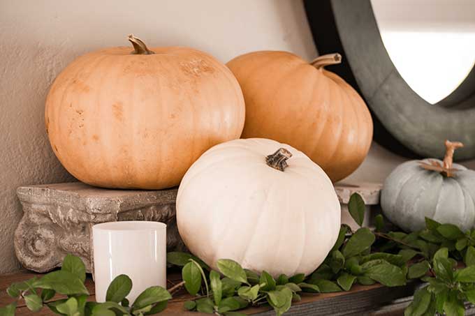 Decorate for Fall on a Budget |diy fall decorations|budget decorating|farmhouse decor|fall decor|mansard mirror|pumpkin fall mantel|easy fall mantel|simple fall decor|frugal fall decorating|fall diy mantel|budget decorating|fall pumpkins|diy mantel decor|fall home tour|Hallstrom Home