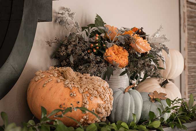 Decorate for Fall on a Budget |diy fall decorations|budget decorating|farmhouse decor|fall decor|mansard mirror|pumpkin fall mantel|easy fall mantel|simple fall decor|frugal fall decorating|fall diy mantel|budget decorating|fall pumpkins|diy mantel decor|fall home tour|Hallstrom Home