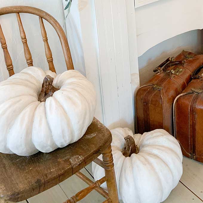 Fall Mantel Decor with Chalk Painted Pumpkins |simple mantel|simple fall mantel|cozy home|hygge home|easy diy|fall diy|fall crafts|gold leaf mirror|chalk paint craft|chalk paint diy|fall mantel decor|Fall home decor|fall farmhouse|farmhouse style|diy fall pumpkins|chalk painting pumpkins|painting pumpkins diy|neutral fall mantel |shabby chic mantel|Hallstrom Home