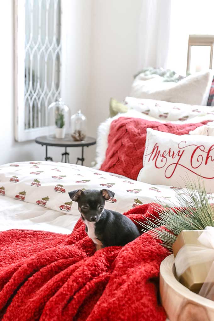 How to Decorate Your Bedroom for Christmas in 6 Steps |Christmas Bedroom|easy Christmas|farmhouse Christmas|merry Christmas|farmhouse Style|copper mugs|merry Christmas|cottage Christmas|easy Christmas Style|pom pom pillow|christmas style|easy christmas bedroom|diy Christmas|plaid Christmas|Holiday decor|holiday home style|Hallstrom Home