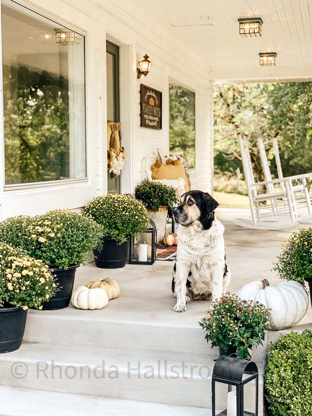 Fall Yarn Wreath Tutorial |Yarn Wreath|Fall Wreath|DIY Yarn Wreath|Sunflower Wreath|DIY Fall Wreath|Easy Wreath DIY|Wreath Tutorial|Farmhouse Wreath|Fall Farmhouse|Fall Decor|Hallstrom Home