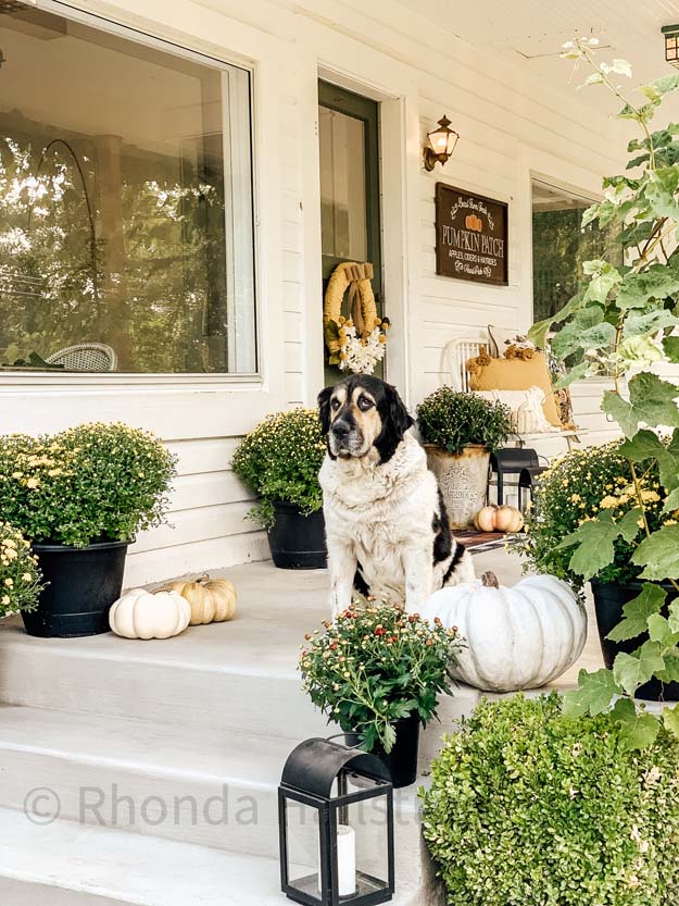 Fall Yarn Wreath Tutorial |Yarn Wreath|Fall Wreath|DIY Yarn Wreath|Sunflower Wreath|DIY Fall Wreath|Easy Wreath DIY|Wreath Tutorial|Farmhouse Wreath|Fall Farmhouse|Fall Decor|Hallstrom Home