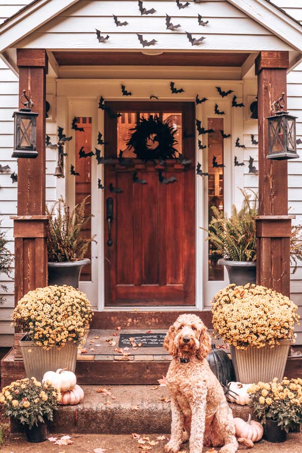 Halloween Bat Porch Decor with Printable |diy your porch|bat printables|halloween porch|spooky halloween|bat printables|cricut machine bats|farmhouse halloween|outdoor bat decorations|halloween diy|easy halloween diy|halloween porch with bats|Hallstrom Home