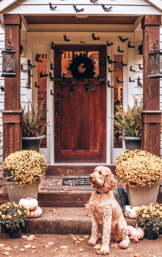 Halloween Bat Porch Decor with Printable |diy your porch|bat printables|halloween porch|spooky halloween|bat printables|cricut machine bats|farmhouse halloween|outdoor bat decorations|halloween diy|easy halloween diy|halloween porch with bats|Hallstrom Home