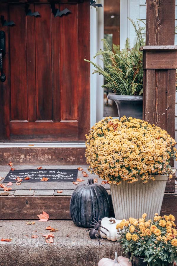 Halloween Bat Porch Decor with Printable |diy your porch|bat printables|halloween porch|spooky halloween|bat printables|cricut machine bats|farmhouse halloween|outdoor bat decorations|halloween diy|easy halloween diy|halloween porch with bats|Hallstrom Home