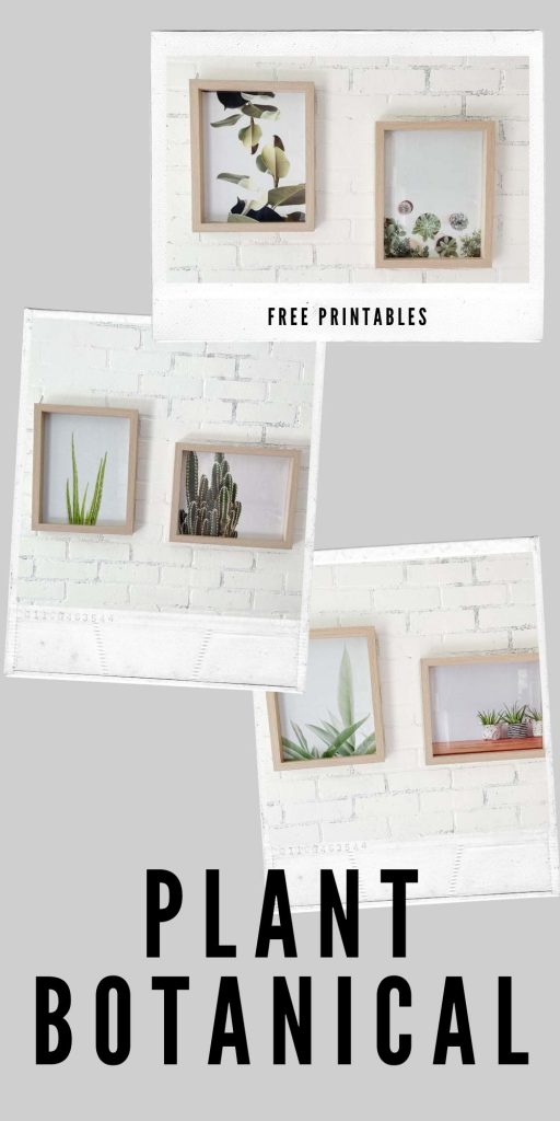 Free Plant Printables / Printable Coloring / Free Home decor Printables / Botanical printable / plant prints / Plant gallery / wall art / botanical wall art / HallstromHome 