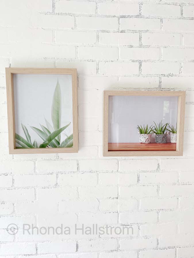 Free Plant Printables / Printable Coloring / Free Home decor Printables / Botanical printable / plant prints / Plant gallery / wall art / botanical wall art / HallstromHome