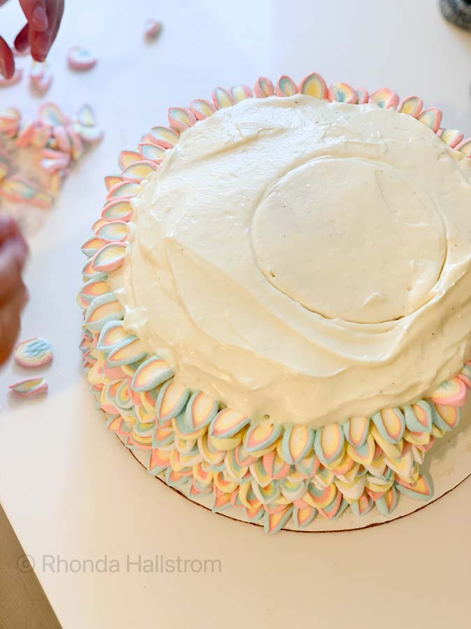 Birthday Cake Decorating / Girl Birthday Cake Ideas / Birthday Cake Ideas / Cake Decorating How To / Cake Decorating Easy / Cake Decorating Ideas Easy / HallstromHome