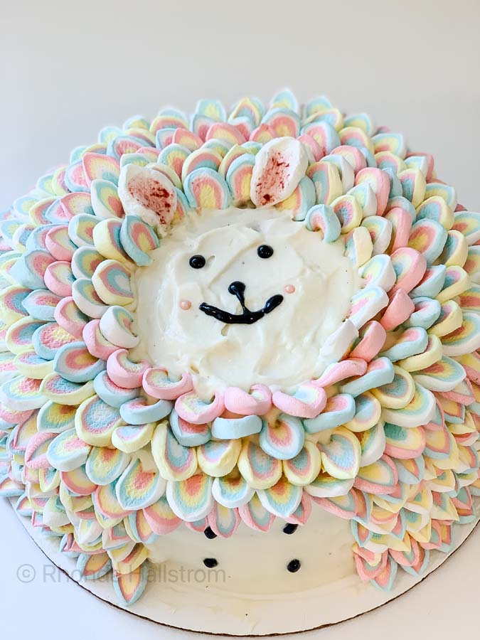 20 of the Most Beautiful Homemade Cake Decorating Ideas-thanhphatduhoc.com.vn