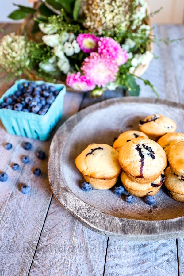 Easy Blueberry Muffins