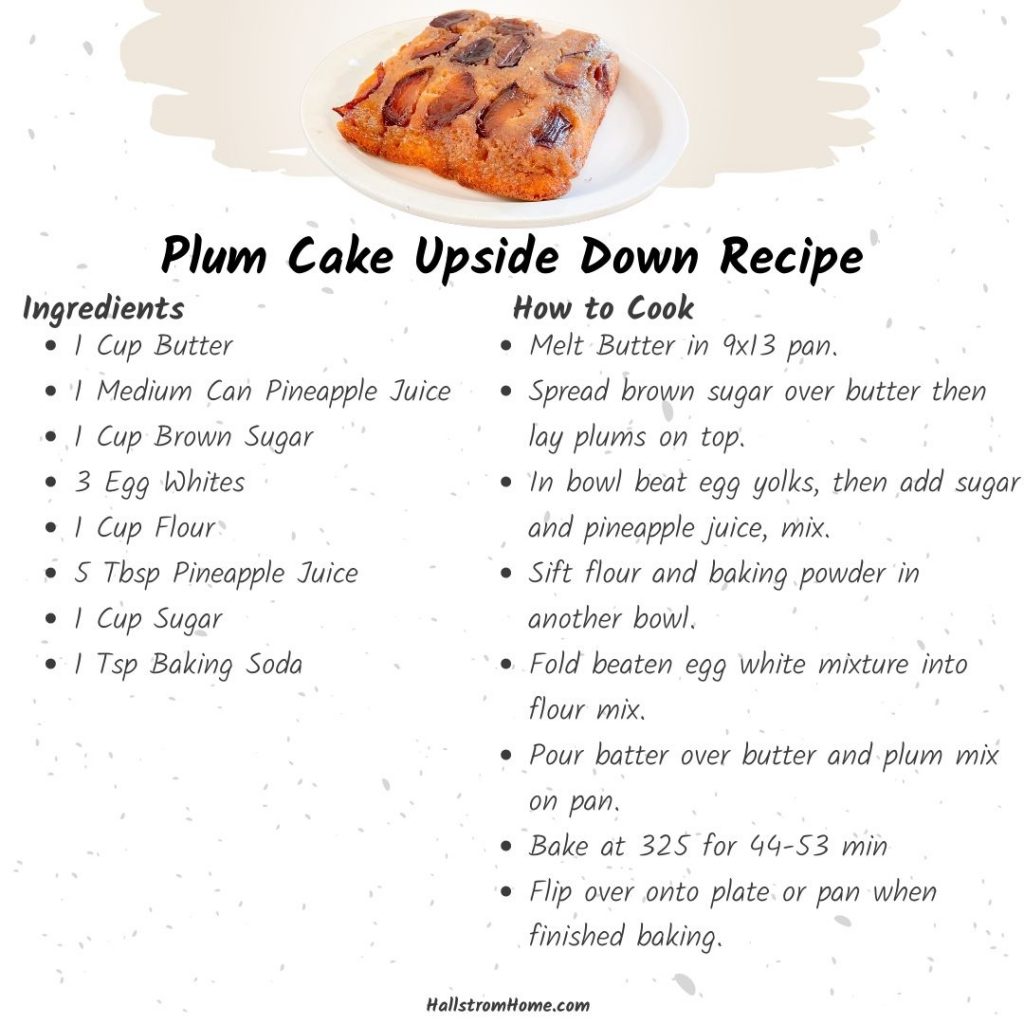 Plum Cake Upside Down / Upside Down Plum Cake Recipe / Upside Down Plum Cake Recipe / Upside Down Cake Recipe / Plum Upside Down Cake / HallstromHome
