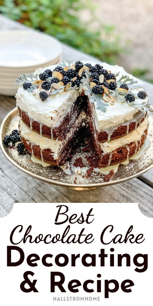 Best Chocolate Cake Decorating And Recipe / Recipe For Chocolate Cake / Homemade Chocolate Cake / Easy Cake From Scratch / Moist Box Cake Recipe / HallstromHome