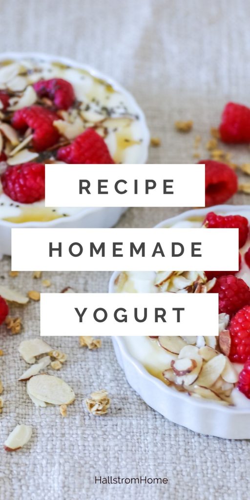 Recipe For Homemade Yogurt / Yogurt Recipe Homemade / Greek Yogurt Recipe / What Goes Good With Yogurt / How To Homemade Yogurt / Toppings For Yogurt Parfait / HallstromHome