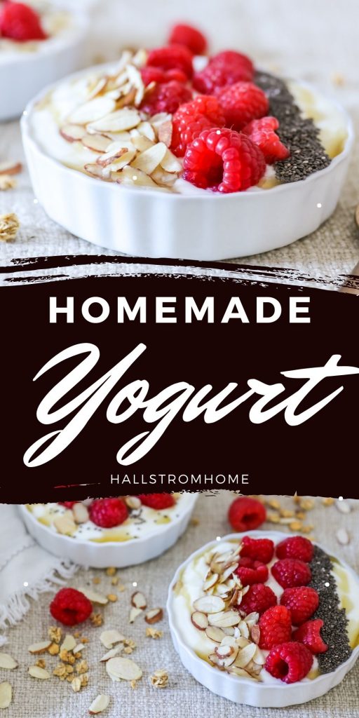 Recipe For Homemade Yogurt / Yogurt Recipe Homemade / Greek Yogurt Recipe / What Goes Good With Yogurt / How To Homemade Yogurt / Toppings For Yogurt Parfait / HallstromHome