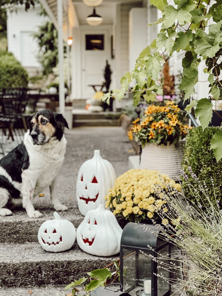 Halloween Decorations For The Porch / Halloween Porch Decor / Ideas For Halloween Front Porch / Halloween Porch Decorations DIY / Cute Halloween Porch Ideas / Hallstrom Home