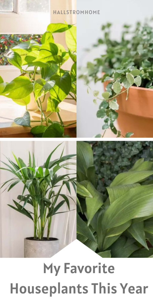 My Favorite Houseplants This Year / Must Have Beautiful House Plants / Low Maintenance Indoor Plants / Beautiful Faux Plants and Flowers / Houseplant Staging Tips and Tricks 