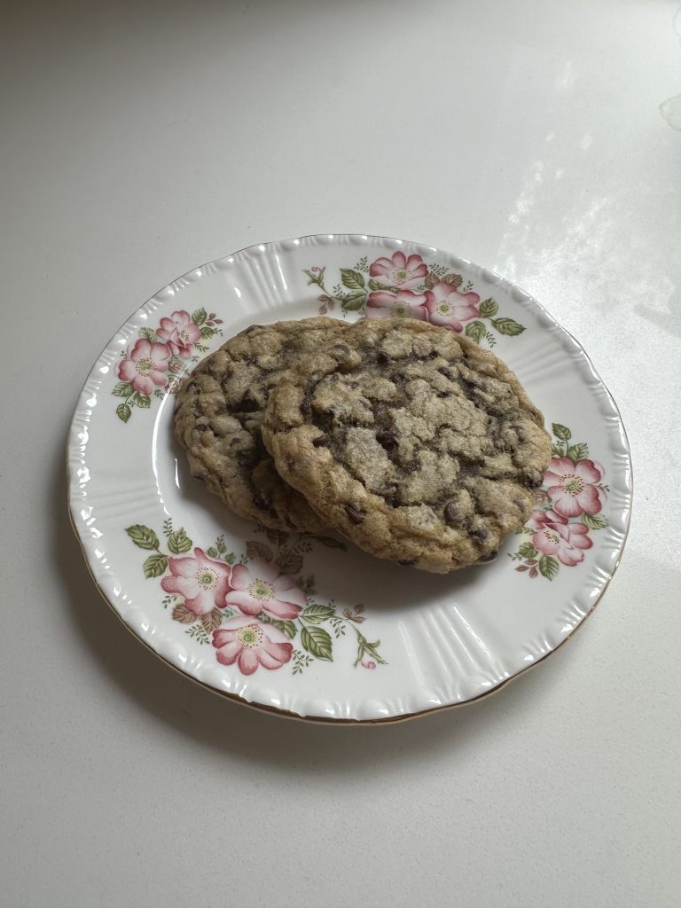 The Best Soft and Chewy Mini Chocolate Chip Cookies