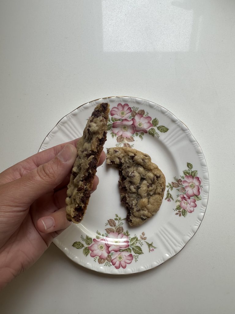 The Best Soft and Chewy Mini Chocolate Chip Cookies